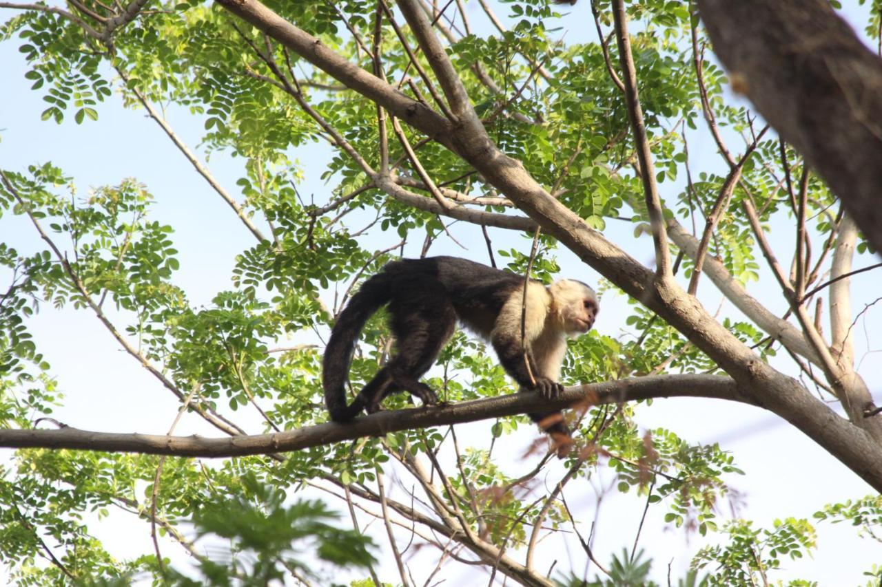 San Simian Lodge La Laguna Eksteriør billede